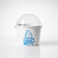 6oz Ice Cream Gelato Frozen yogurt Tub / Cup - 2 Scoops 1000 (Lids included)